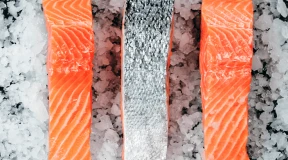 Ikan salmon